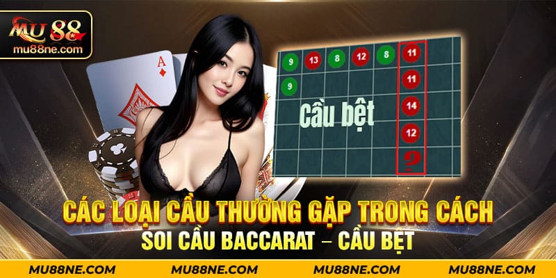 Các loại cầu thường gặp