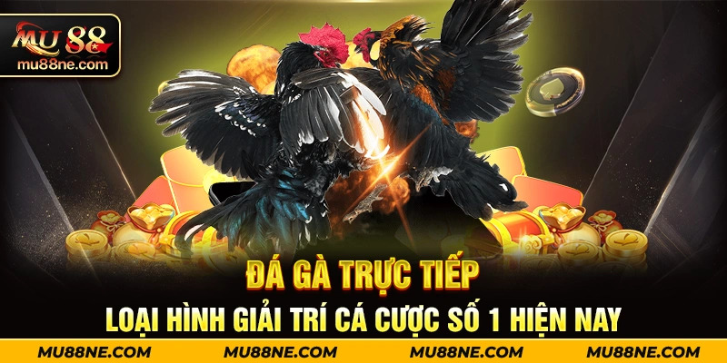 DA-GA-TRUC-TIEP-LOAI-HINH-GIAI-TRI