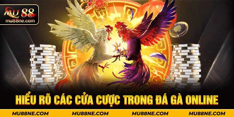 Hiểu rõ các cửa cược trong đá gà online